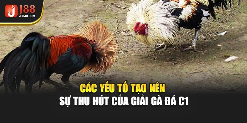 Các yếu tố tạo nên sự thu hút của giải gà đá C1