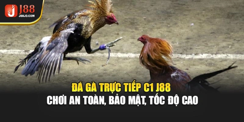 Đá Gà Trực Tiếp C1 J88 – Chơi An Toàn, Bảo Mật, Tốc Độ Cao